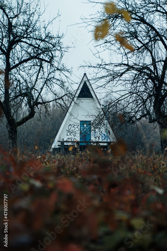 Fototapeta Naklejka Na Ścianę i Meble -  house in autumn forest