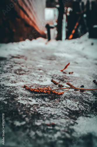 rusty iron