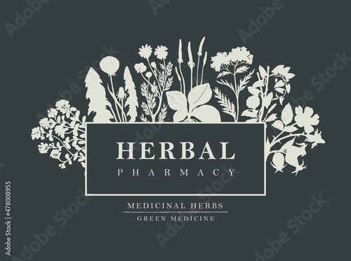 Vector banner or label with words Herbal pharmacy. Decorative frame with hand-drawn medicinal plants in retro style. Monochrome illustration with silhouettes of herbs and flowers on a dark background