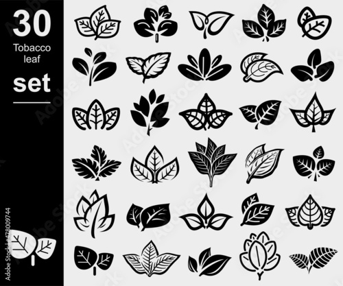 Tobacco leaf icons set. Collection icon tobacco. Vector
