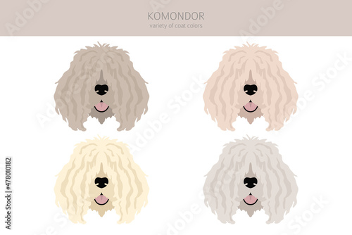 Komondor clipart. Different poses, coat colors set