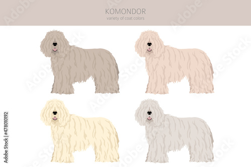 Komondor clipart. Different poses, coat colors set