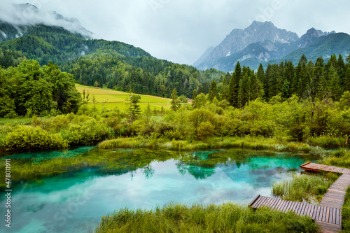 Konstfotografi Zelenci pond in Triglav National Park, Slovenia