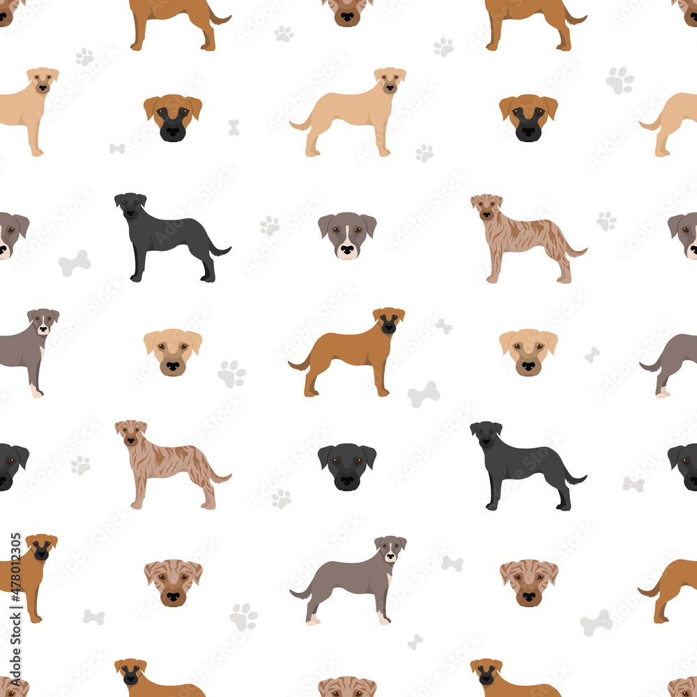 Mountain Cur seamless pattern. Different poses, coat colors set