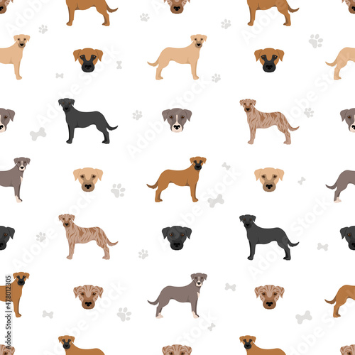 Mountain Cur seamless pattern. Different poses  coat colors set