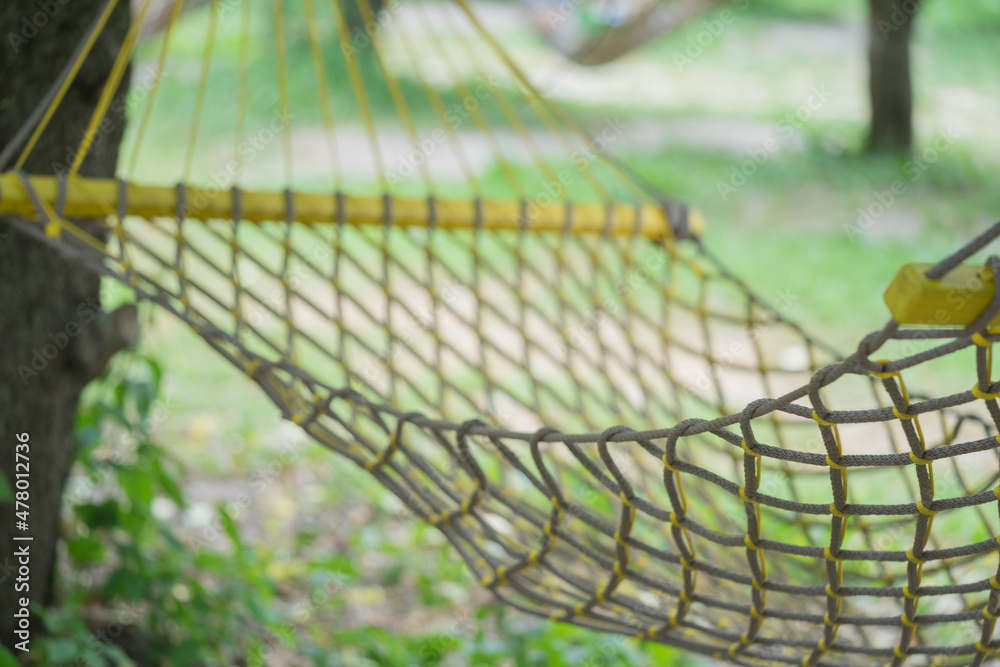 hammock hammock