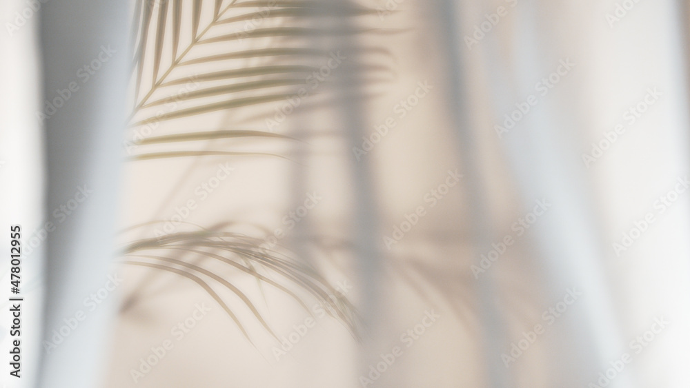 Palm leaves shadow on beige background, freeze motion - obrazy, fototapety, plakaty 