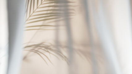 Palm leaves shadow on beige background, freeze motion