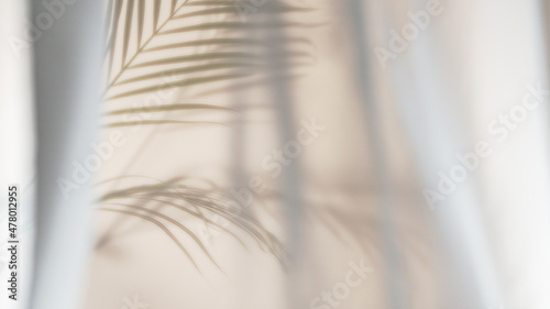 Palm leaves shadow on beige background, freeze motion photo