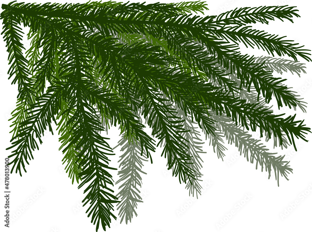 green fir branch with lot of needles green fir branch with lot of needles