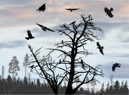 seven black crows above dead tree in forest