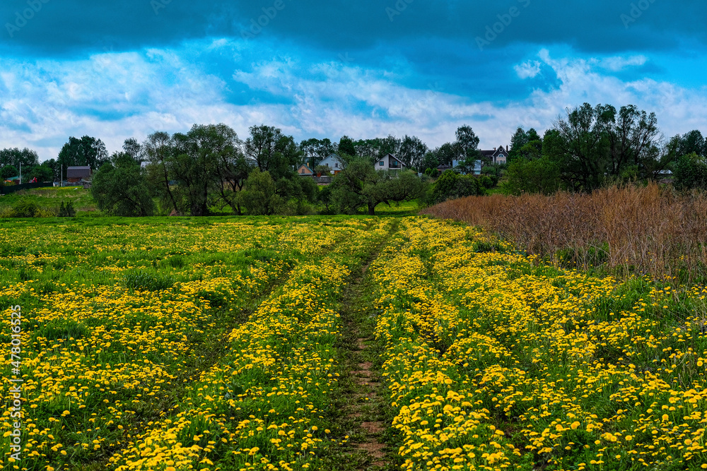 Landscape with the image of the yellow field