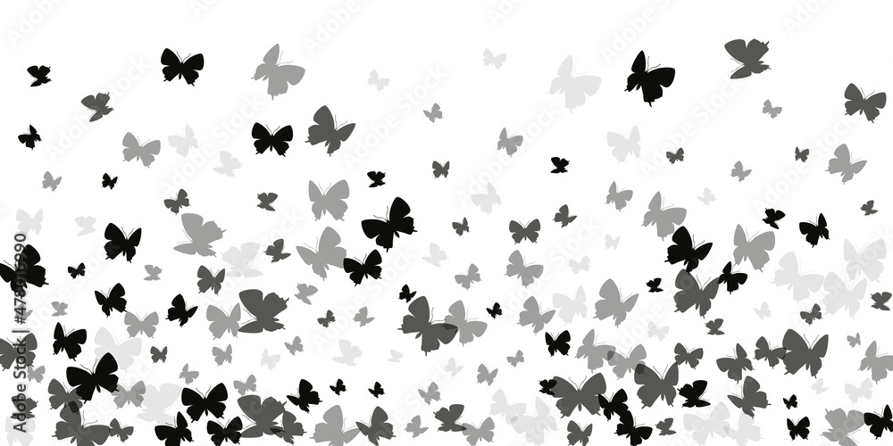 Exotic black butterflies isolated vector background. Spring funny moths. Wild butterflies isolated baby wallpaper. Delicate wings insects patten. Nature creatures. Exotic black butterflies isolated vector background. Spring funny moths. Wild butterflies isolated baby wallpaper. Delicate wings insects patten. Nature creatures.