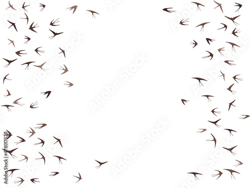 Flying swallow birds silhouettes vector illustration. Migratory martlets group isolated on white.