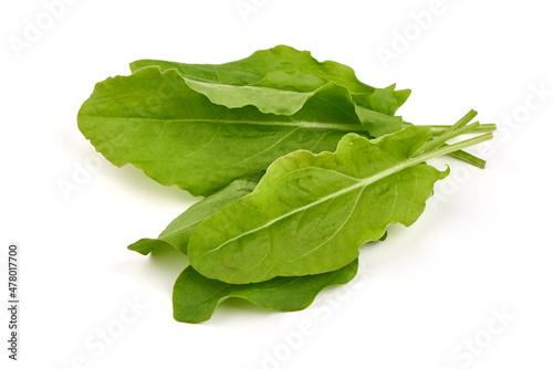 Fresh leaves of spinach, isolated on a white background.