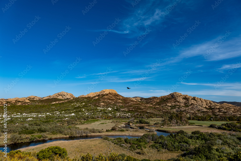 Fototapeta premium landscape