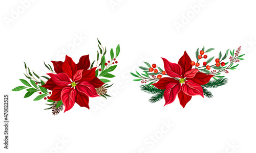 Photos Red poinsettia flower set