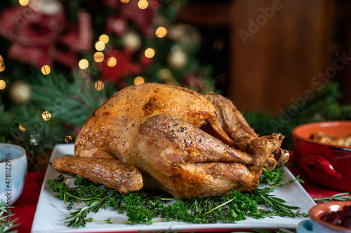 Turkey holiday dinner  photo