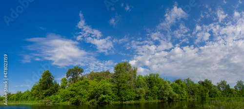 Fototapeta Naklejka Na Ścianę i Meble -  Green deciduous forest on the river bank.