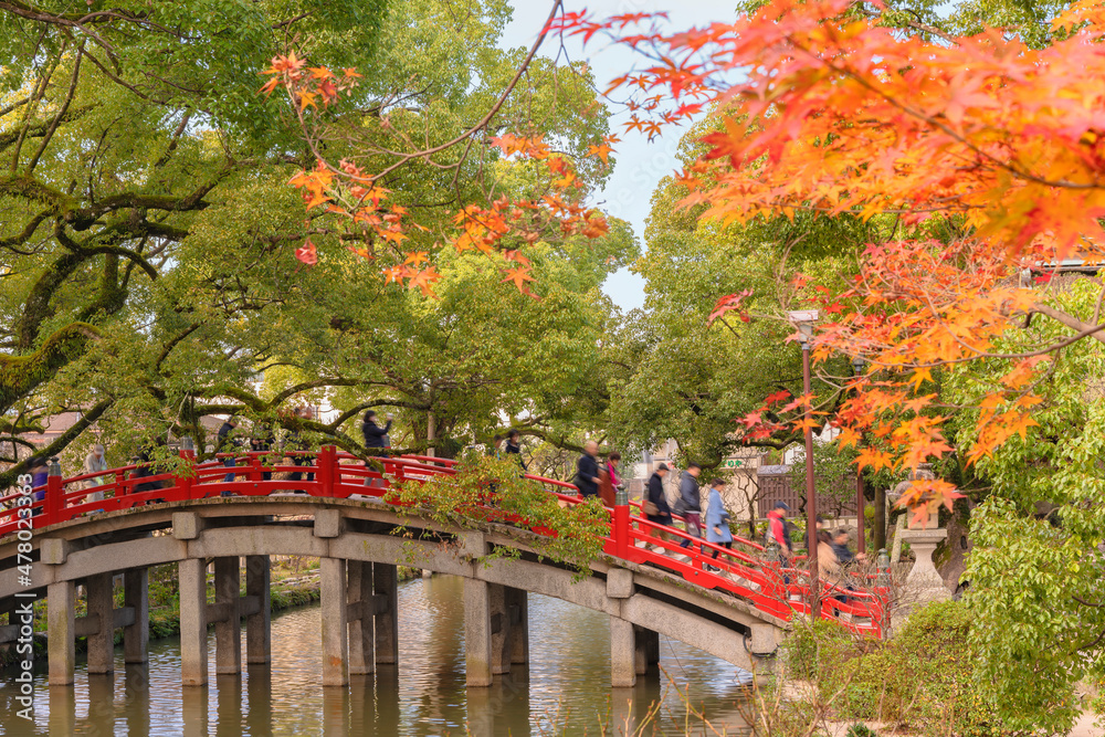 Tokyo Japan December 07 19 Japanese Momiji Autumn Leaves In Front Of The Red Taiko Bashi