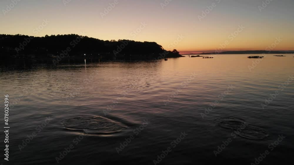 Unexpected view of dolphins emerging at dusk; drone footage; UHD, 30fps, normal speed Unexpected view of dolphins emerging at dusk; drone footage; UHD, 30fps, normal speed