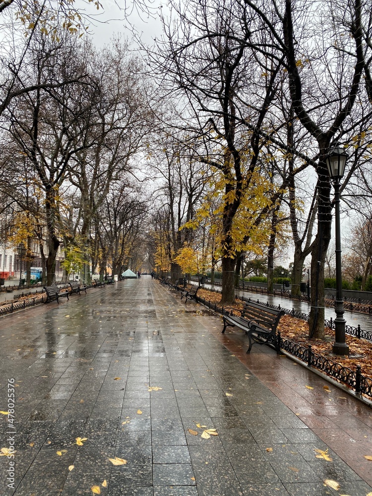 autumn in the city autumn in the city