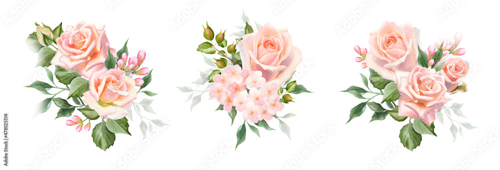 Set of watercolor rose flower bouquet. Blush floral illustration for ...