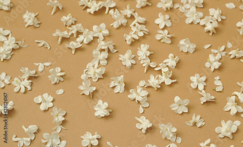 White lilac petals on beige color background. Flower pattern with blossoming lilac.
