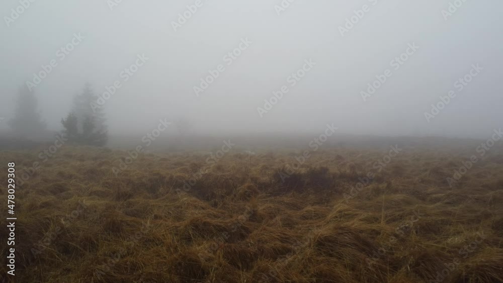 Swamplands covered in dense mist, aerial fly backward shot Swamplands covered in dense mist, aerial fly backward shot