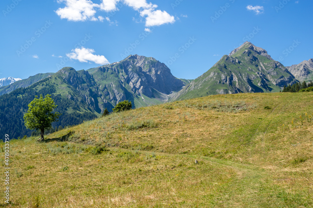 Fototapeta premium mountain panorama with snowy Monte Bianco on background