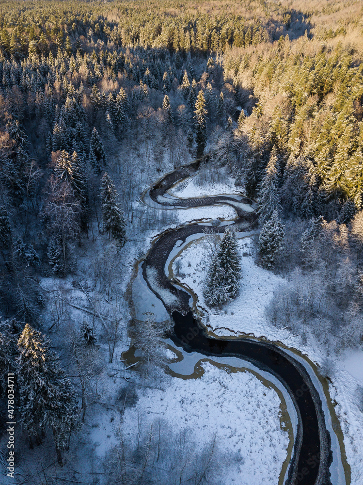 Aerial view of winding river and forest in Riezupe river nature park in winter day, Latvia
