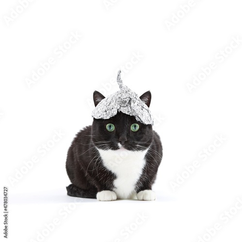 Green eyed tuxedo cat in a tin foil hat photo