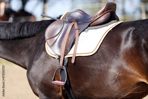 . Equestrian sport background outdoors
