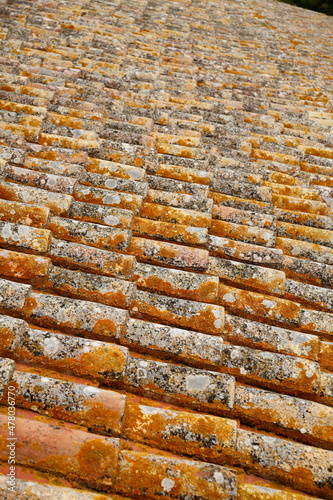 Old tiles of a mediterranean roof