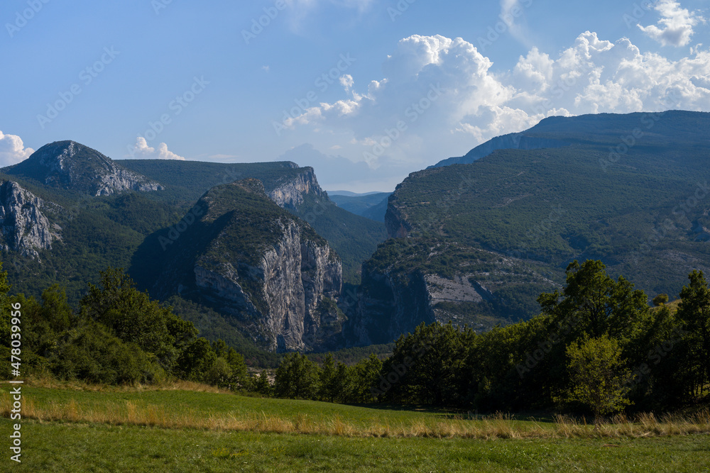 Obraz premium The Gorges du Verdon and a meadow in the foreground in Europe, France, Provence Alpes Cote dAzur, Var, in summer, on a sunny day.