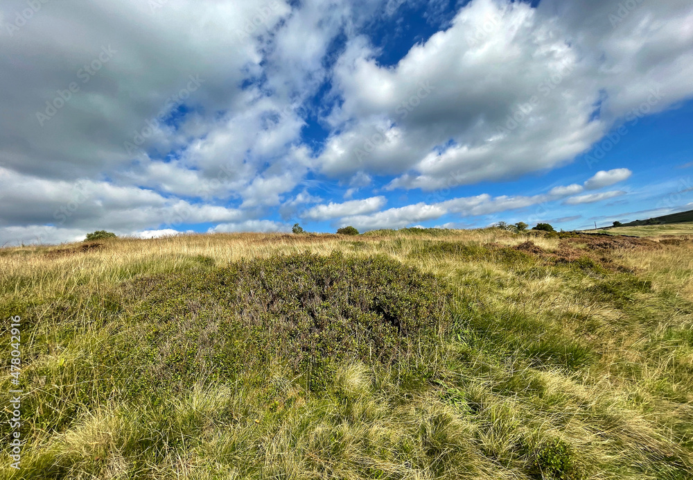 Moorland landscape in autumn near, Oxenhope, Keighley, UK