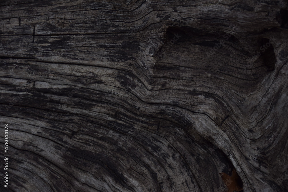 Obraz premium wood grain driftwood aged old texture
