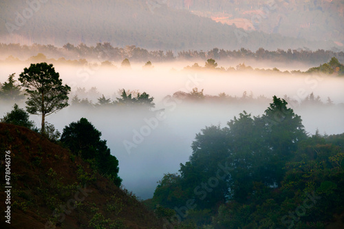 Cloudy sunrise in small areas of forest, land used for cattle grazing in rural Guatemala