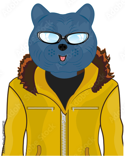 Man cat in fashionable cloth and spectacles