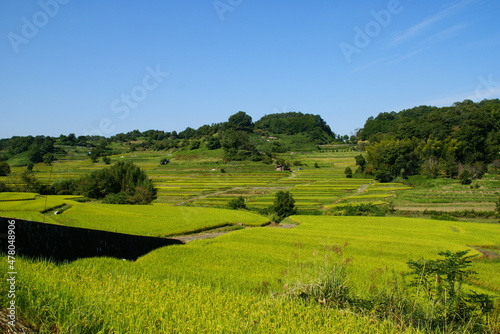 明日香村・祝戸