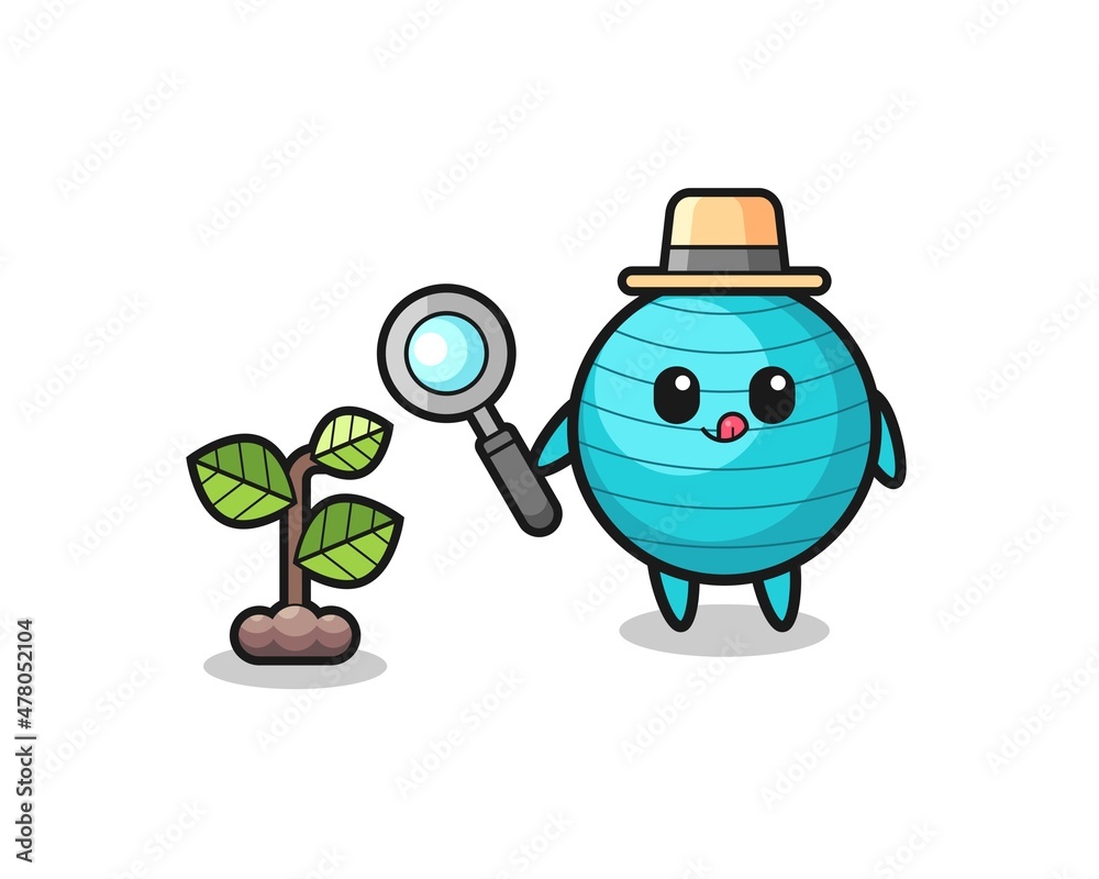Fototapeta premium cute exercise ball herbalist researching a plants
