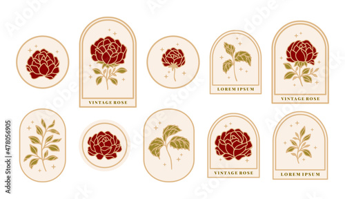 Set of hand drawn vintage retro botanical feminine rose flower, leaf branches, and frame line art logo elements
