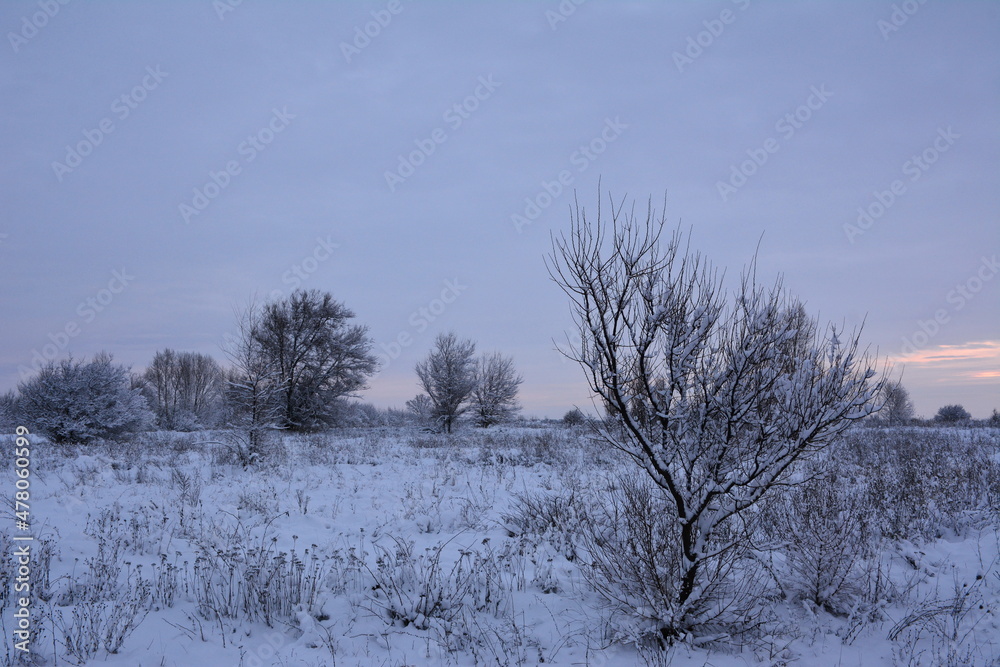 Cold winter dawn in the steppe terrain Cold winter dawn in the steppe terrain