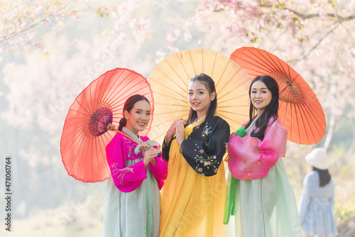 Three Korean girl wearing a hanbok wearing a umbrella. Beautiful Female wearing traditional Korean hanbok with cherry blossom in spring, photo