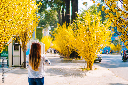 Vietnamese girl standing and posing by the side of Ochna Integerrima (Hoa Mai) on a sunny day at Ho Chi Minh City, Vietnam photo