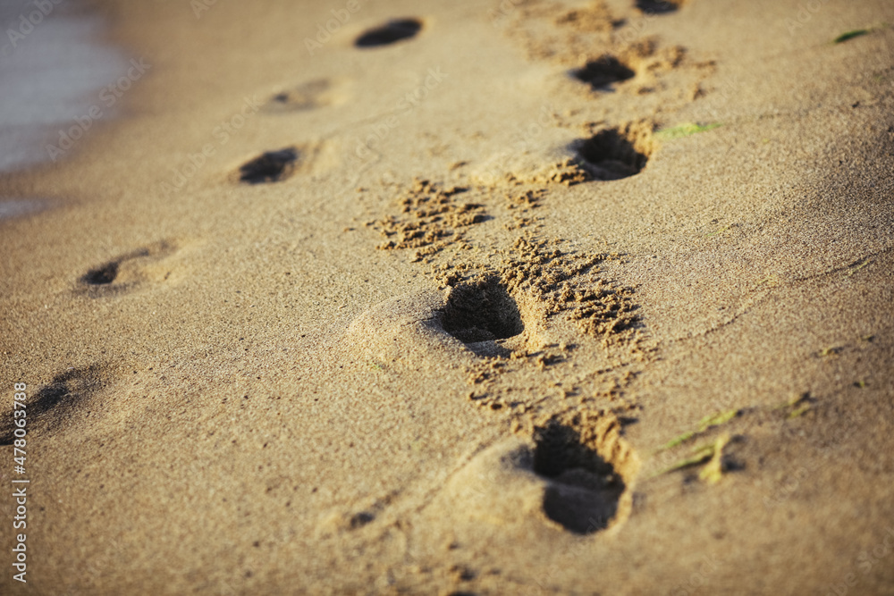 Shallow depth of field (selective focus) details with footprints in the beach sand on a calm and warm summer day at the Black Sea in the Obzor resort in Bulgaria. Shallow depth of field (selective focus) details with footprints in the beach sand on a calm and warm summer day at the Black Sea in the Obzor resort in Bulgaria.