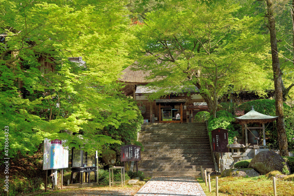 新緑期の大興善寺「本堂」 新緑期の大興善寺「本堂」