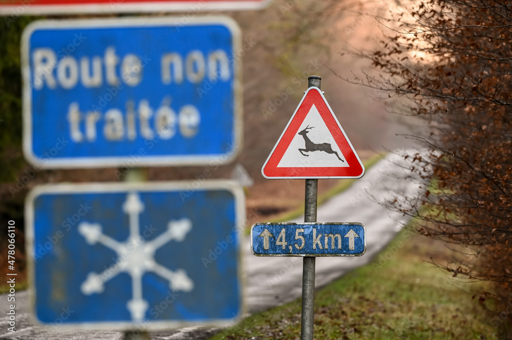 route signalisation nature bois prudence hiver animaux gibier