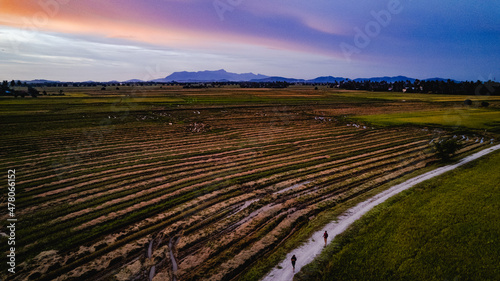 sunset over the field