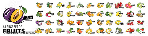 Print op canvas Vector set of painted all fruits on a white background